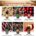 Winter Essential Oil Set, Essential Oils for Diffusers for Home, Fragrance Oil Gift Set | Gingerbread, Candy, Christmas Tree, Spice, Cranberry, Apple Cider | Aromatherapy, Candle & Soap Making