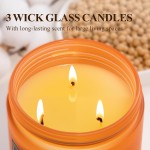 Auelife Scented Candle, Vanilla Pumpkin Candles – 22oz Large 3-Wick Holiday Soy Candle, Long Lasting Winter Candles for Home Décor, Thanksgiving & Holiday Gift for Women & Men