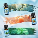 Clean Essential Oils Set for Diffuser & Candle Making | 6 Pack Premium Aromatherapy Oils Gift Set - Lavender, Eucalyptus, Mint, Sweet Orange, Lemongrass, Clean Cotton for Home